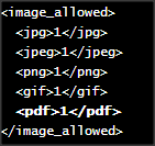 Image Allowed PDF